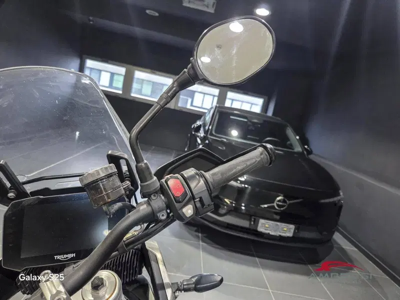 Triumph Tiger 900 Rally Pro (2020 - 23) (12)