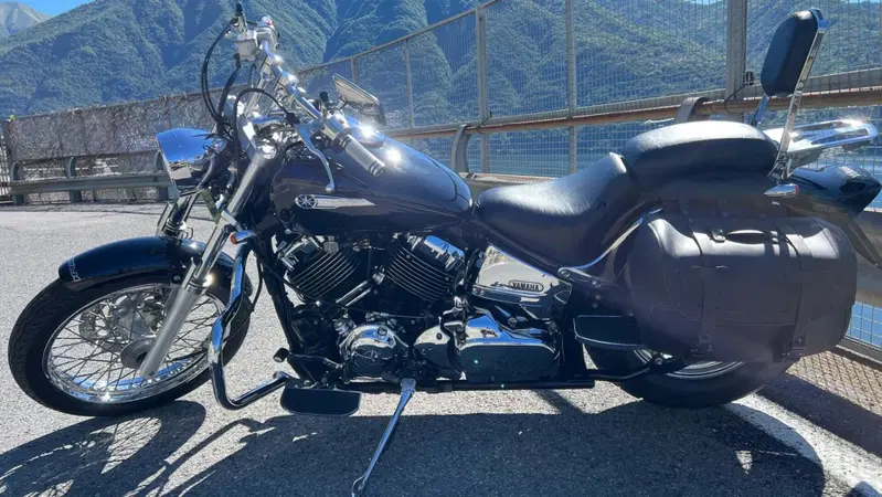 Yamaha XVS 650 Drag Star (1997 - 05) (5)