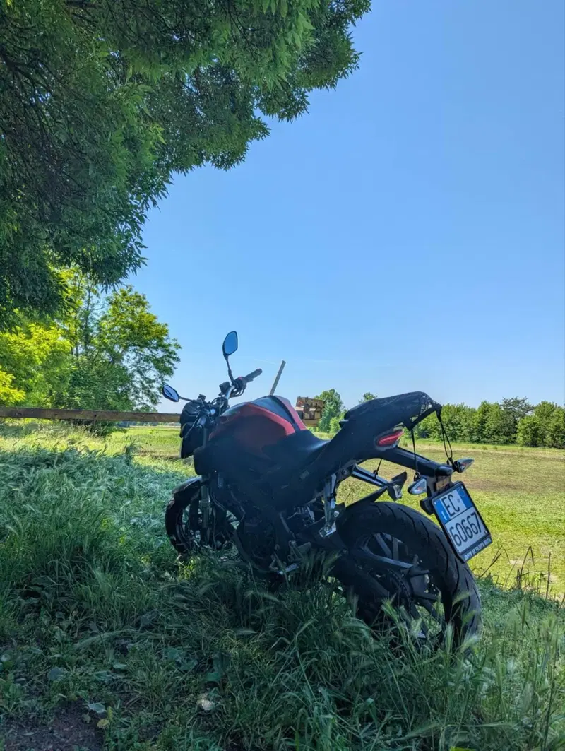 Yamaha MT-125 ABS (2015 - 16) (9)