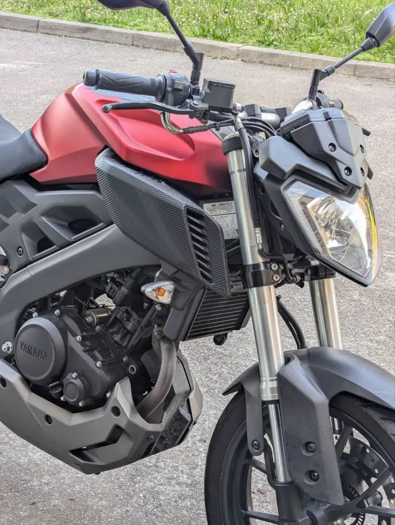 Yamaha MT-125 ABS (2015 - 16) (2)