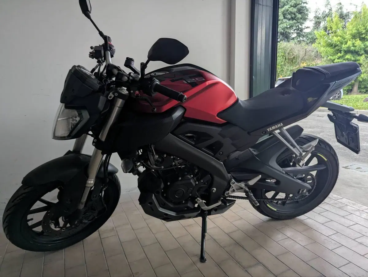 Yamaha MT-125 ABS (2015 - 16) (3)