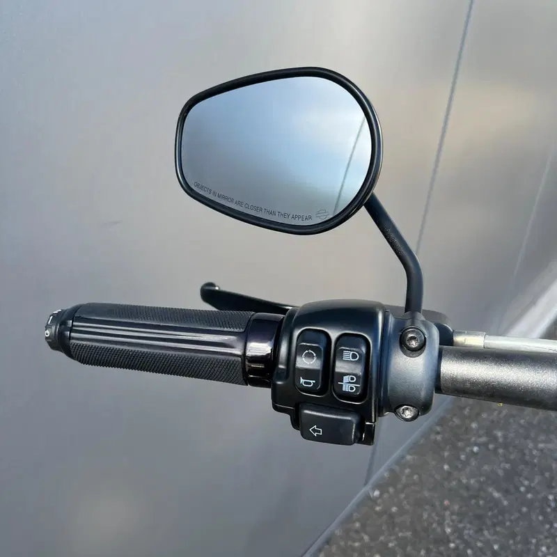 Harley-Davidson Fat Bob 114 (2021 - 25) (8)