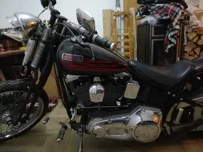 Harley-Davidson 1340 Bad Boy (1995 - 99) usata