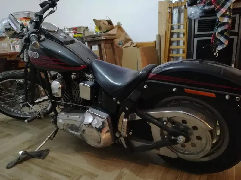 Harley-Davidson 1340 Bad Boy (1995 - 99) (4)