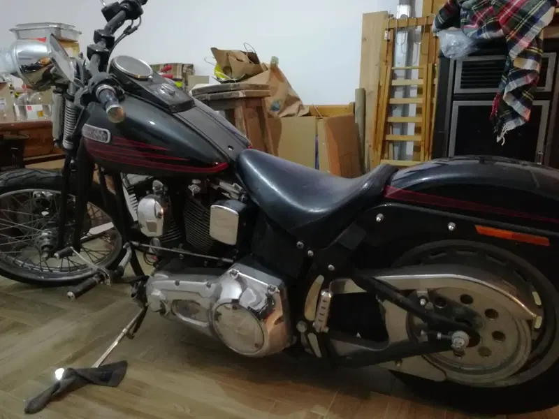 Harley-Davidson 1340 Bad Boy (1995 - 99) (6)