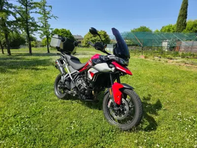 Triumph Tiger 900 GT Arag&oacute;n Edition (2023 - 24) usata