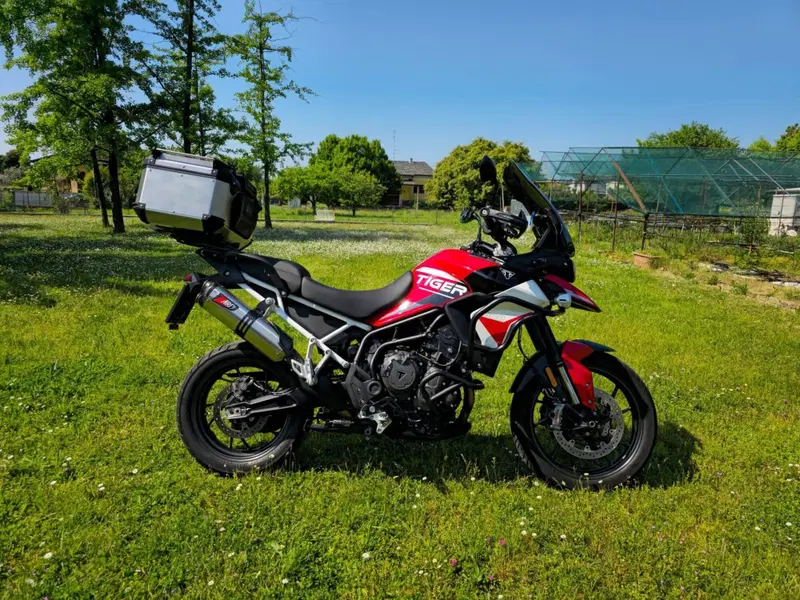 Triumph Tiger 900 GT Aragón Edition (2023 - 24) (2)