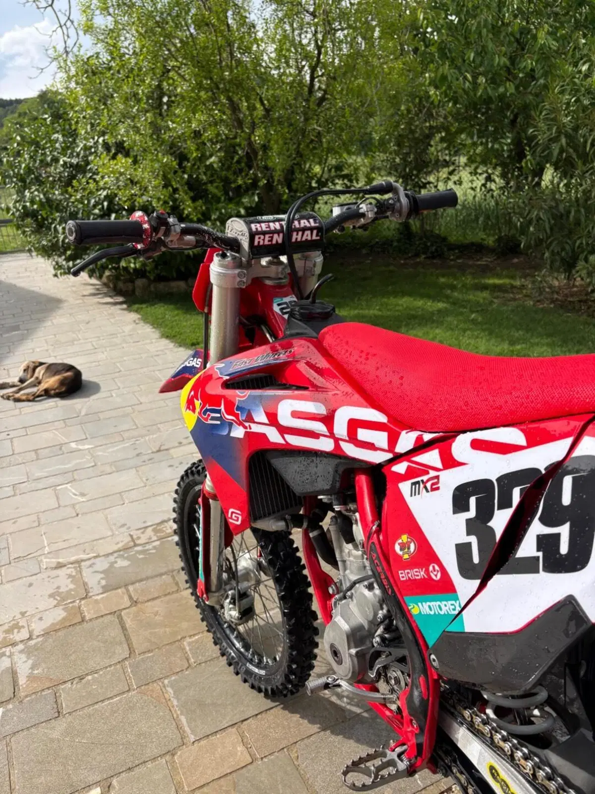 GASGAS MC 250 F (2023) (3)