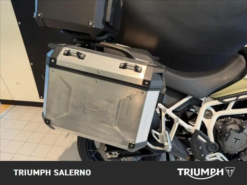 Triumph Tiger 900 Rally Pro (2020 - 23) (4)