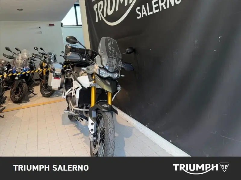 Triumph Tiger 900 Rally Pro (2020 - 23) (6)