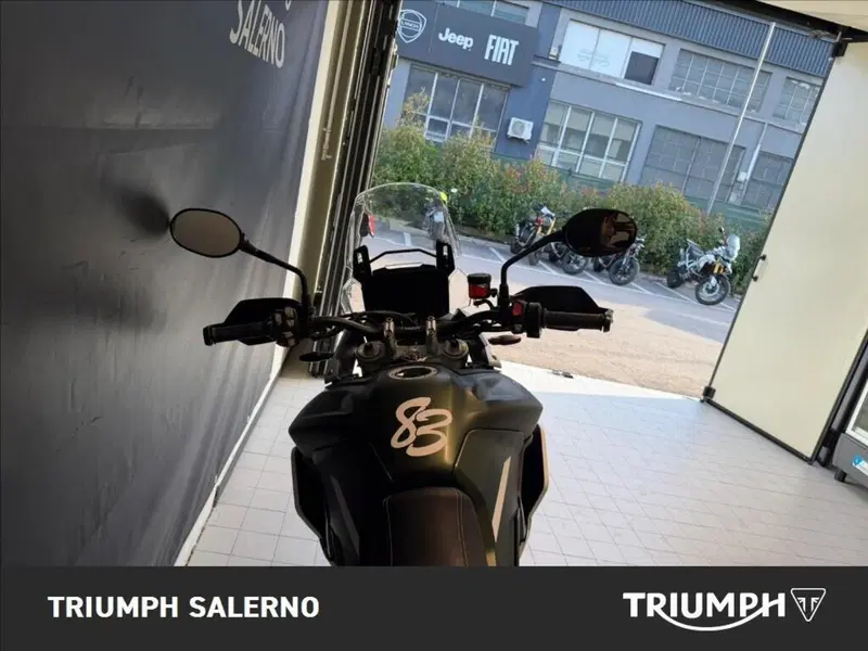Triumph Tiger 900 Rally Pro (2020 - 23) (7)