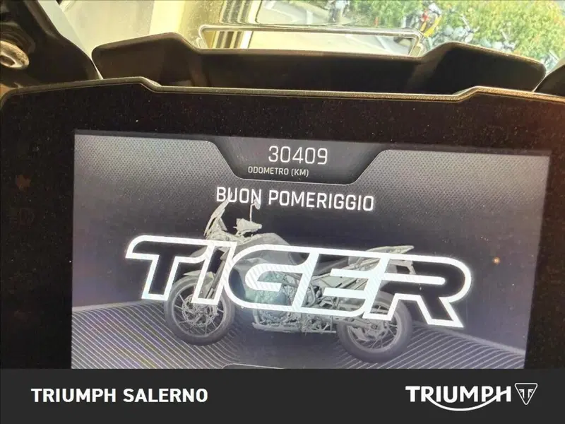 Triumph Tiger 900 Rally Pro (2020 - 23) (8)