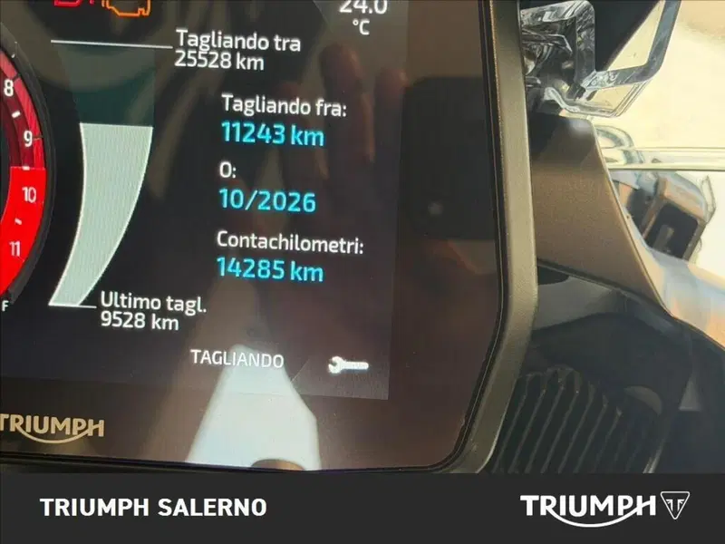 Triumph Tiger 1200 Rally Pro (2022 - 23) (8)