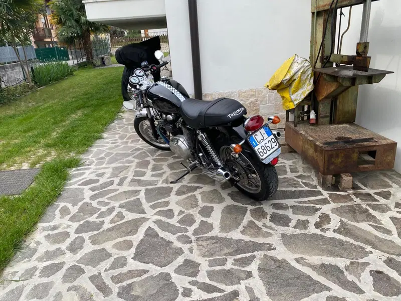 Triumph Thruxton 900 carb (4)