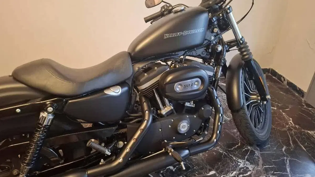 Harley-Davidson 883 Iron (2009 - 11) - XL 883N (2)