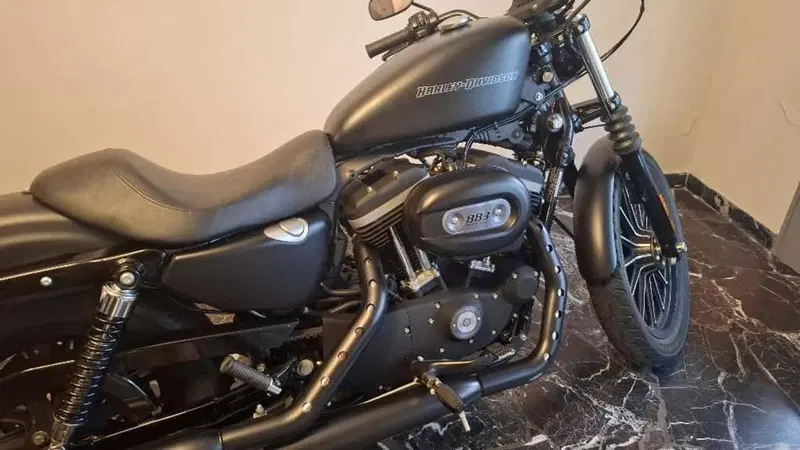 Harley-Davidson 883 Iron (2009 - 11) - XL 883N (2)