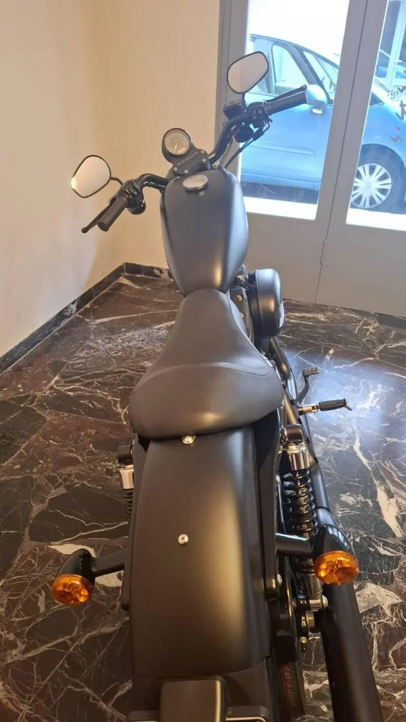 Harley-Davidson 883 Iron (2009 - 11) - XL 883N (4)