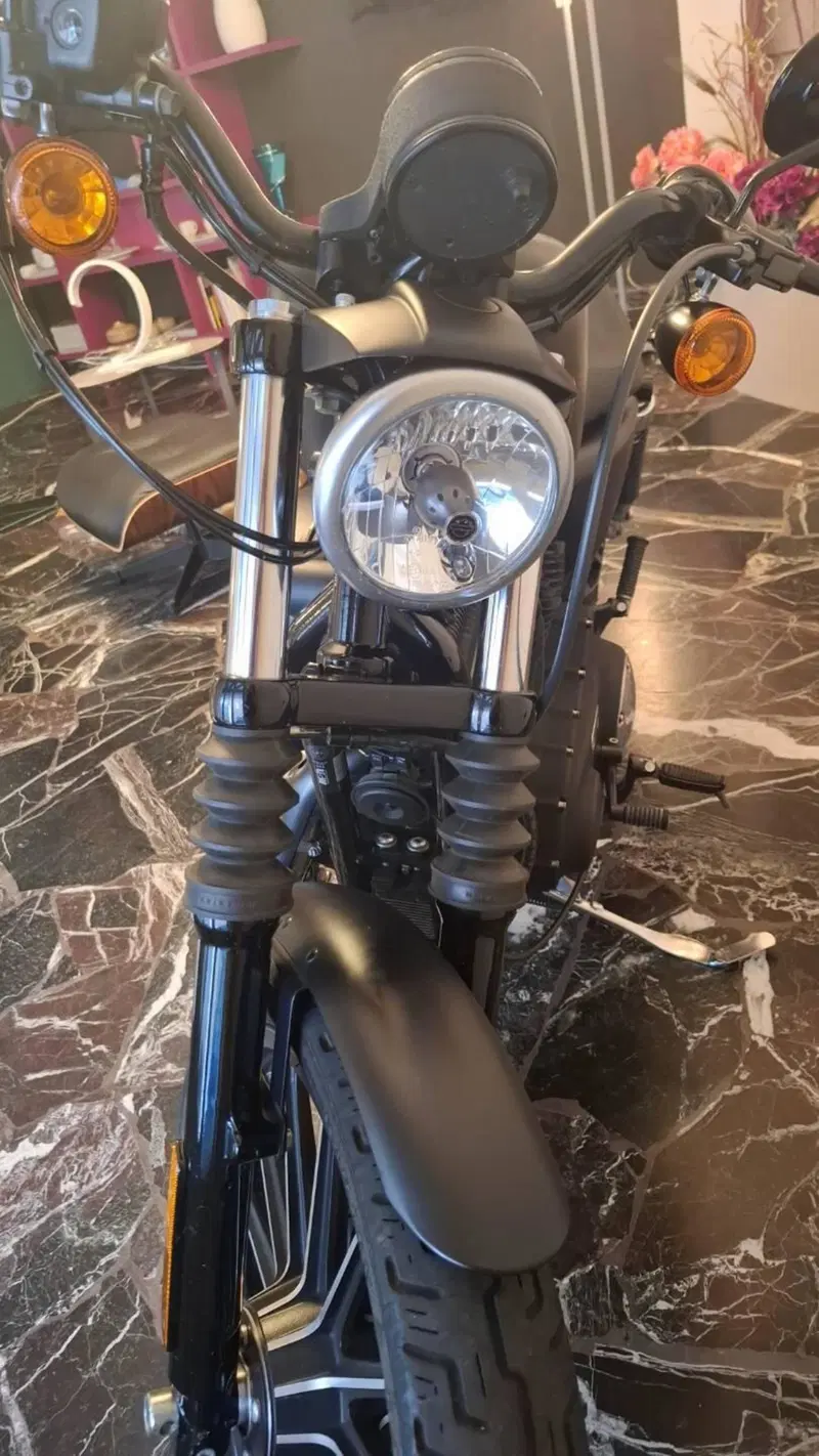 Harley-Davidson 883 Iron (2009 - 11) - XL 883N (5)