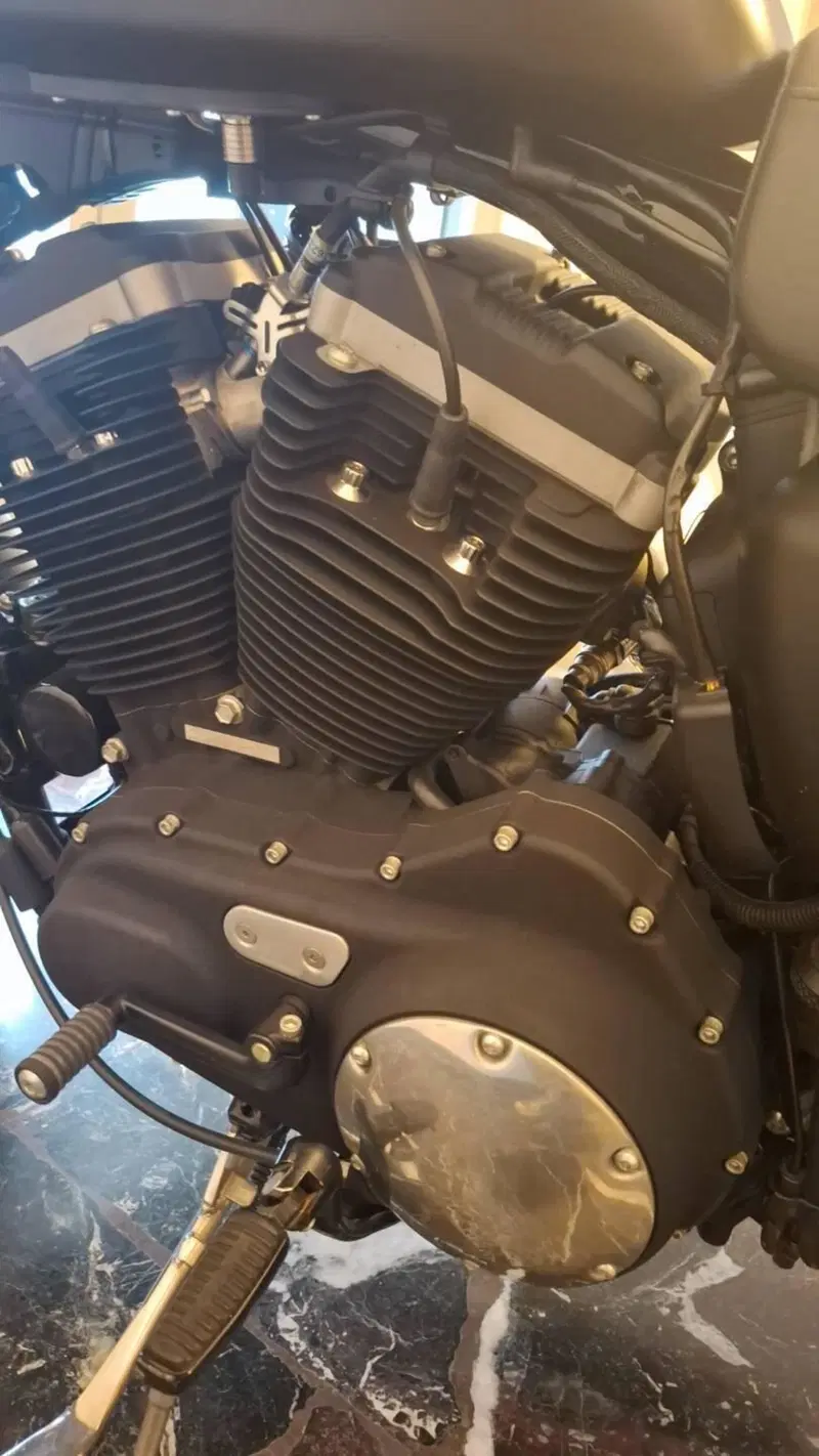 Harley-Davidson 883 Iron (2009 - 11) - XL 883N (7)