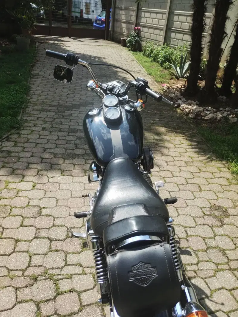 Harley-Davidson 1450 Low Rider (1999 - 03) - FXDL (5)