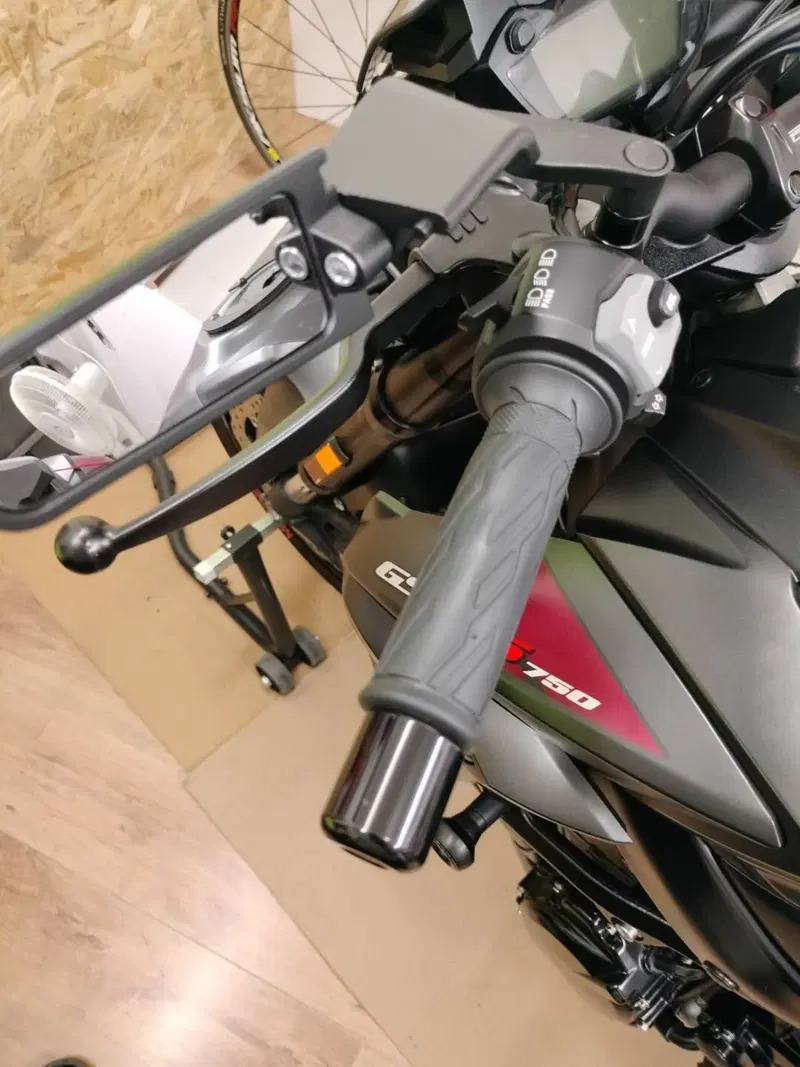Suzuki GSX S 750 Z Yugen (2018 - 20) (7)