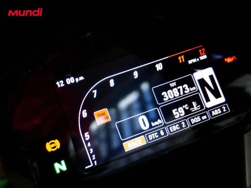 Ducati 1199 Panigale ABS (2013 - 14) (12)