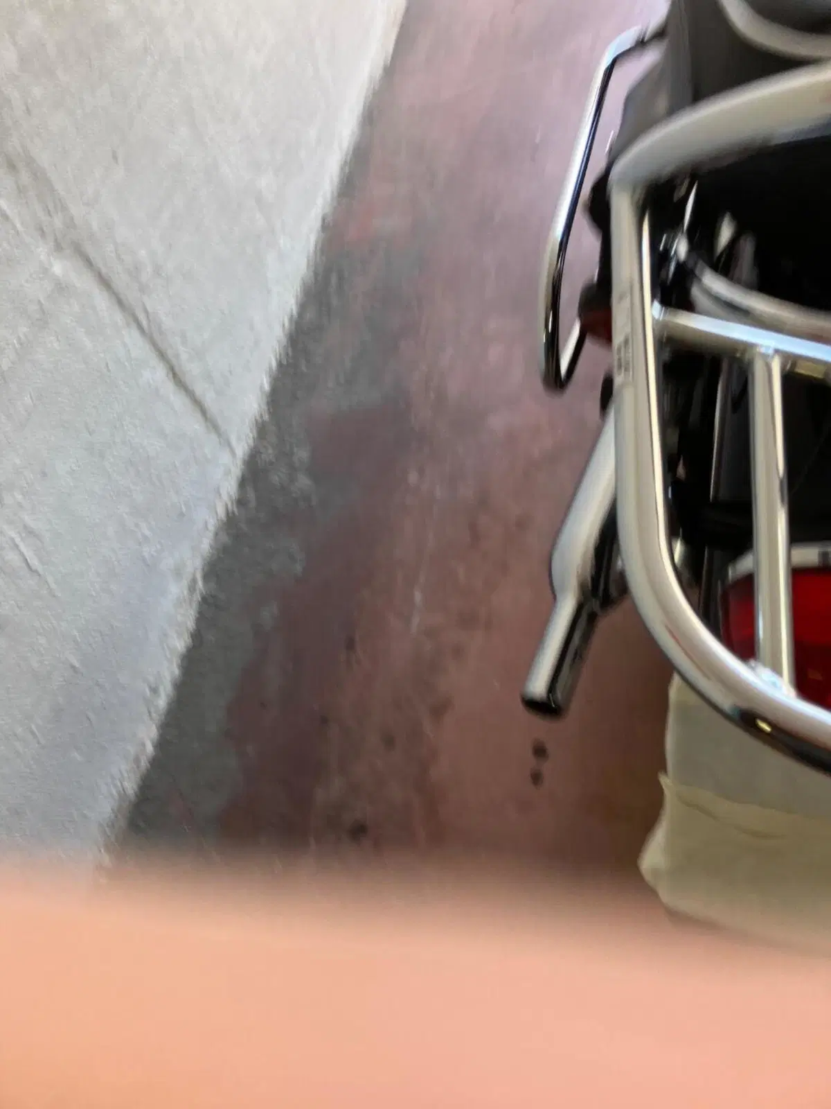 Triumph Bonneville T120 Bud Ekins SE (2020) (2)