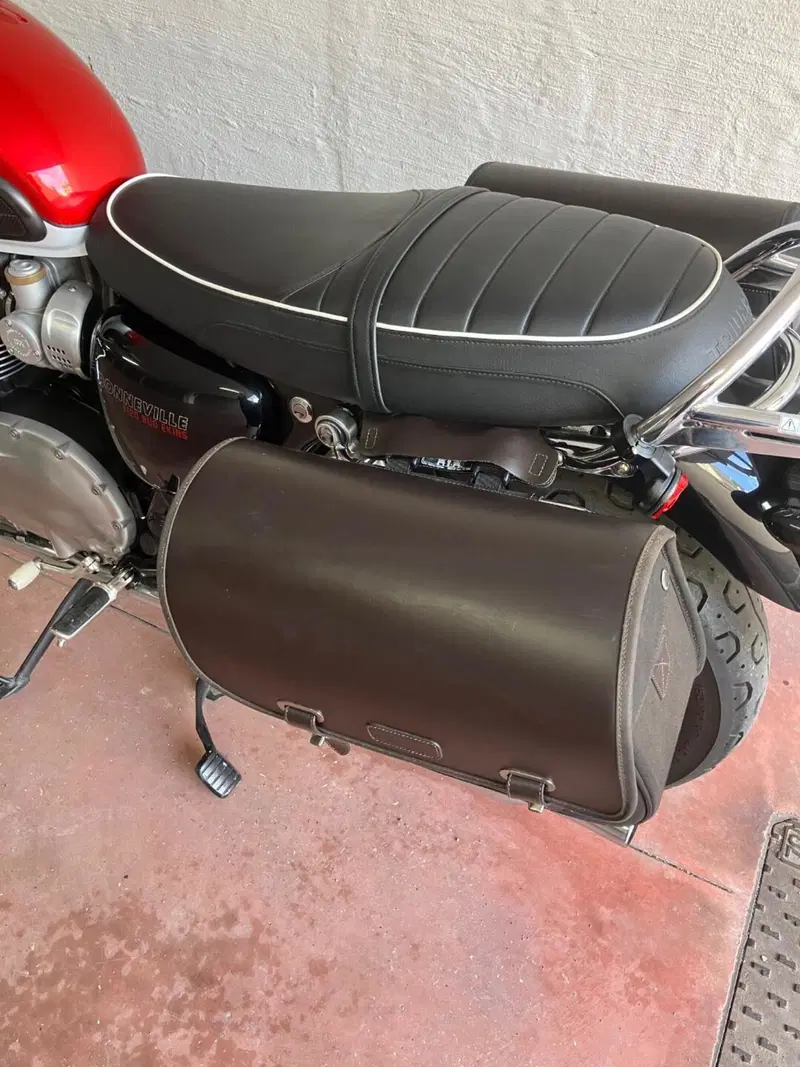 Triumph Bonneville T120 Bud Ekins SE (2020) (4)
