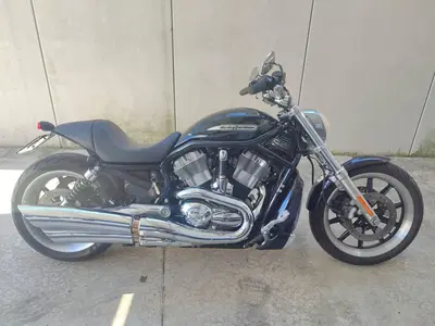 Harley-Davidson 1130 V-ROD (2002 - 05) - VRSCB usata