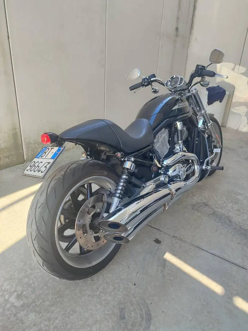 Harley-Davidson 1130 V-ROD (2002 - 05) - VRSCB (3)