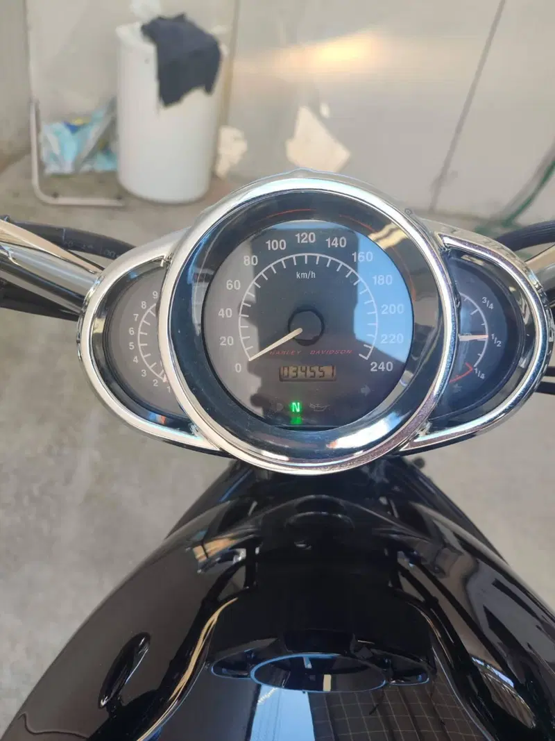 Harley-Davidson 1130 V-ROD (2002 - 05) - VRSCB (5)