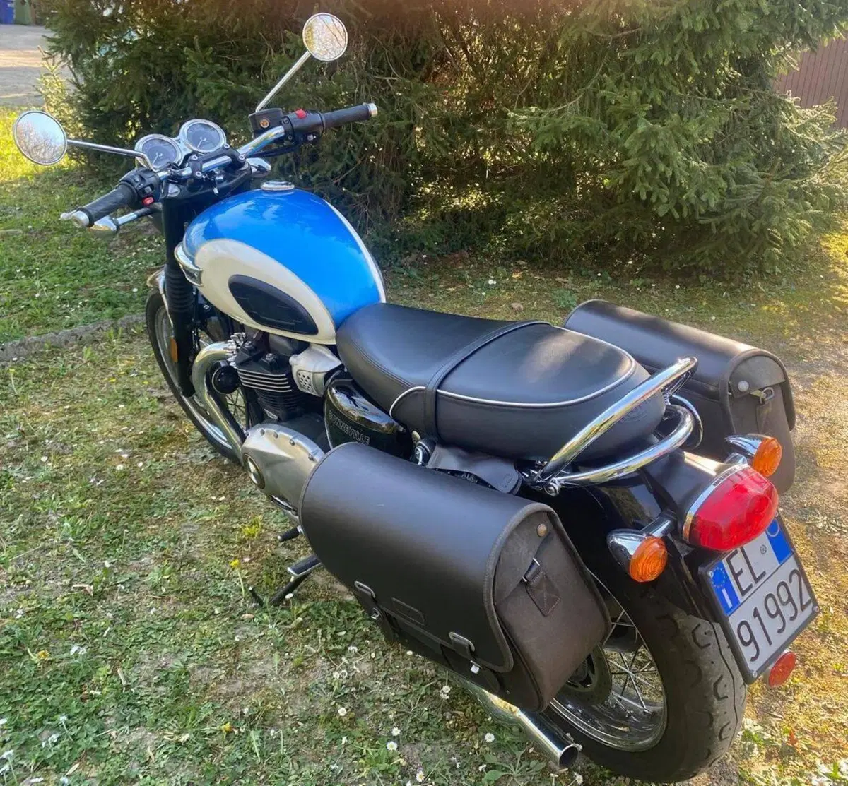 Triumph Bonneville T100 (2017 - 20) (3)