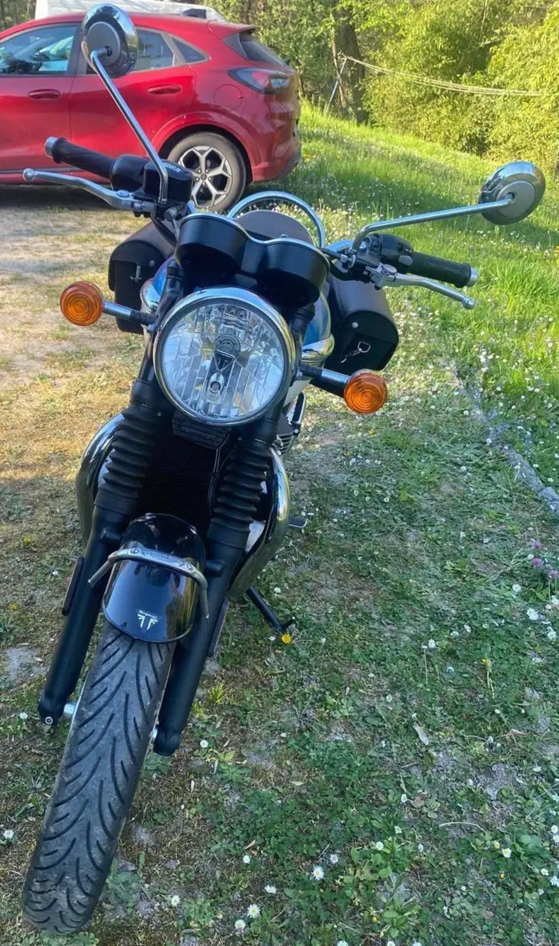 Triumph Bonneville T100 (2017 - 20) (9)