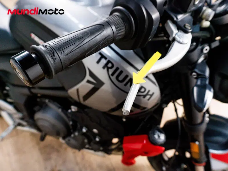 Triumph Trident 660 (2025) (15)