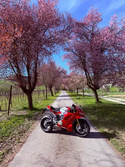 Ducati Panigale V4 R (2026) usata