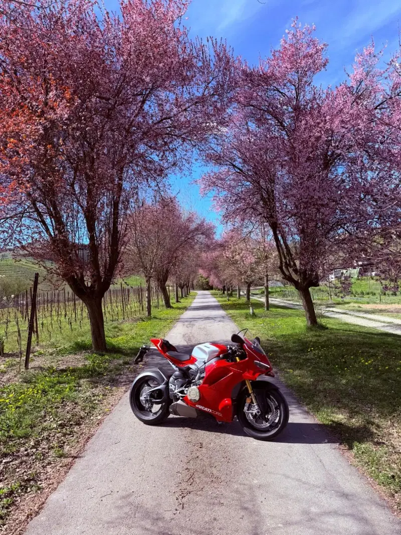 Ducati Panigale V4 R (2026)