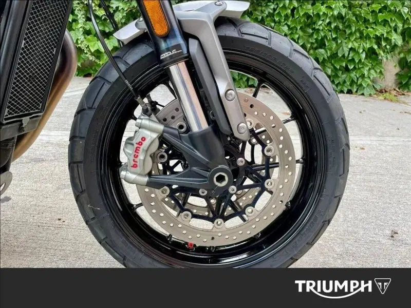 Triumph Speed Twin 1200 (2021 - 24) (7)