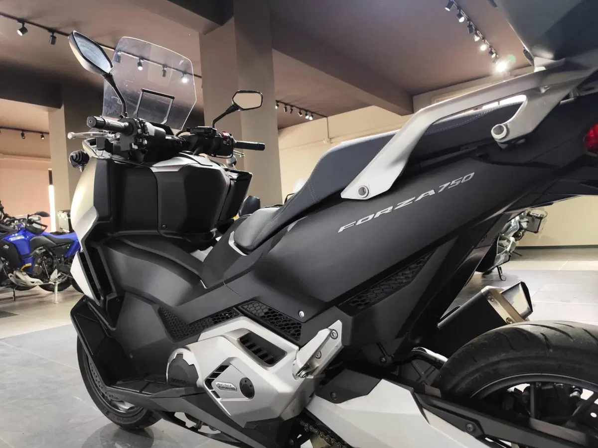 Honda Forza 750 DCT (2021 - 24) (6)