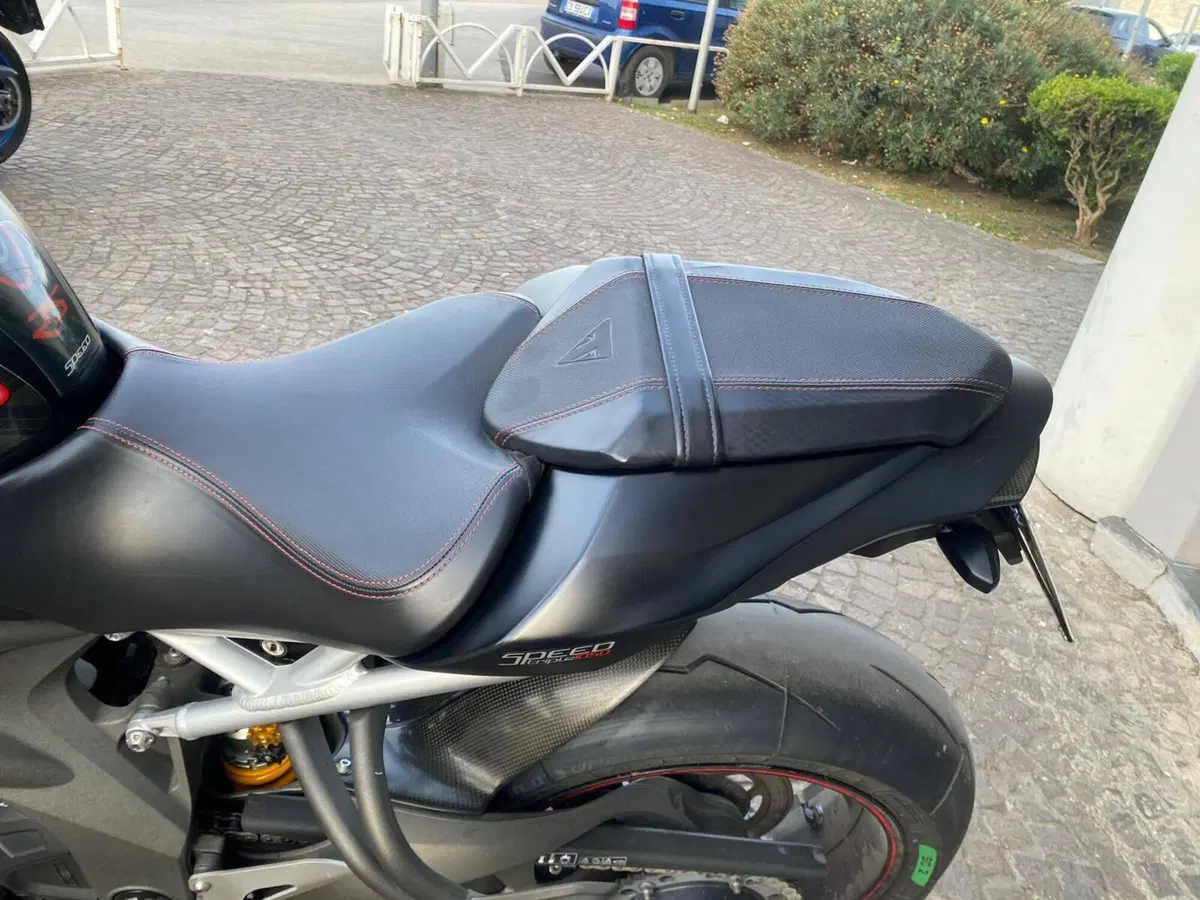 Triumph Speed Triple 1050 RS (2018 - 20) (6)