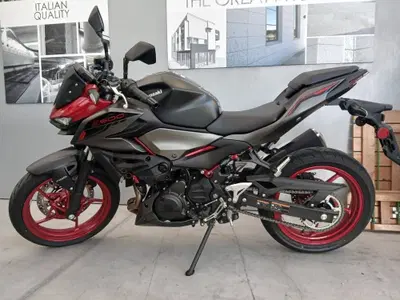Kawasaki Z 500 (2024 - 26) usata