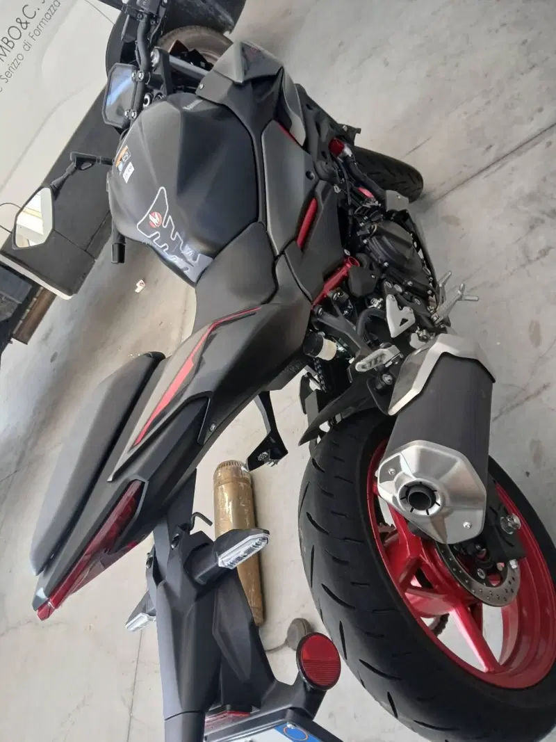 Kawasaki Z 500 (2024 - 26) (4)