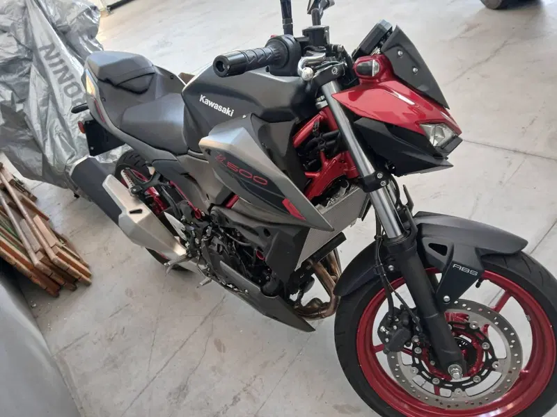 Kawasaki Z 500 (2024 - 26) (5)