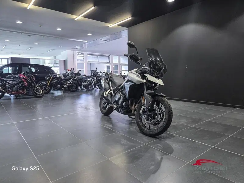 Triumph Tiger 900 GT (2020 - 23) (10)