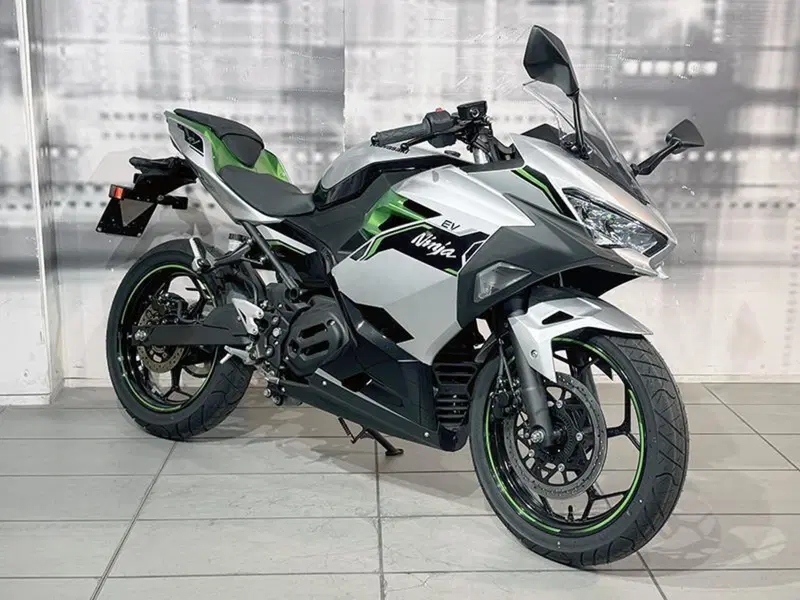 Kawasaki Ninja e-1 (2024 - 26)