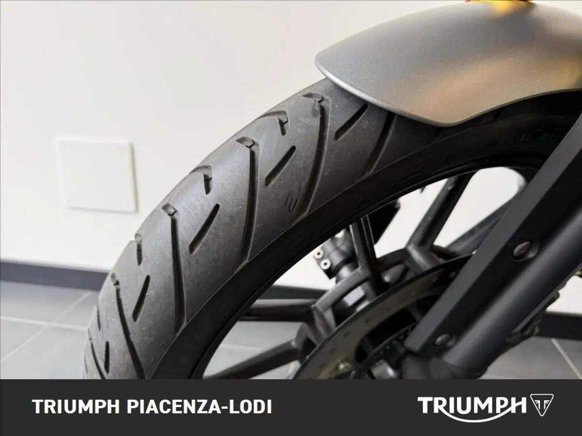 Triumph Scrambler 400 X (2024 - 26) (3)