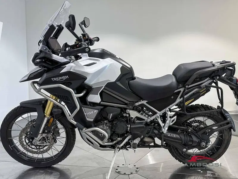 Triumph Tiger 1200 Rally Explorer (2022 - 23) (3)