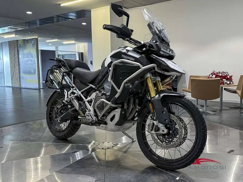 Triumph Tiger 1200 Rally Explorer (2022 - 23) (4)