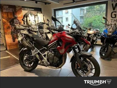 Triumph Tiger 1200 GT Pro (2024 - 26) usata