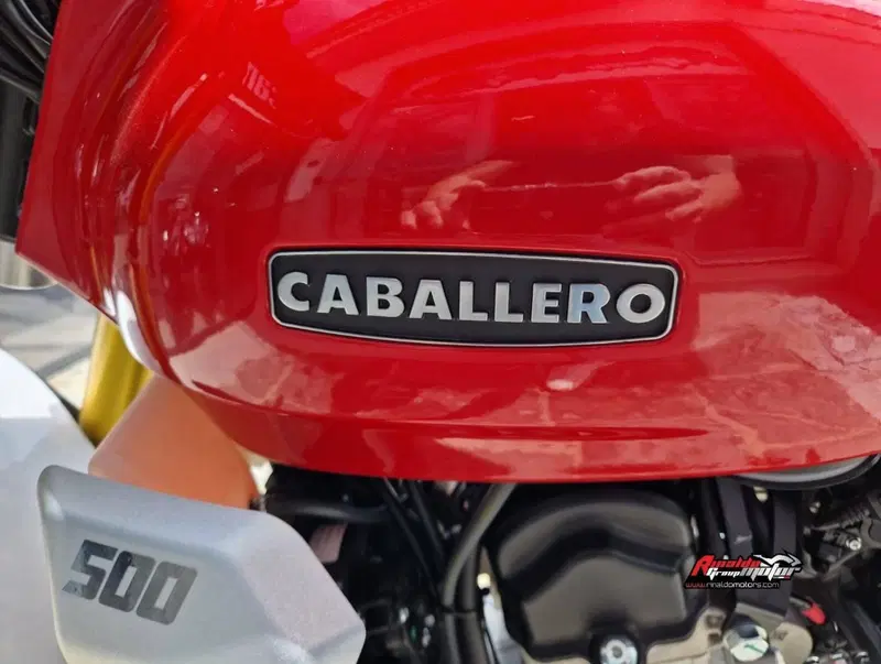 Fantic Motor Caballero 500 Scrambler (2025 - 26) (10)