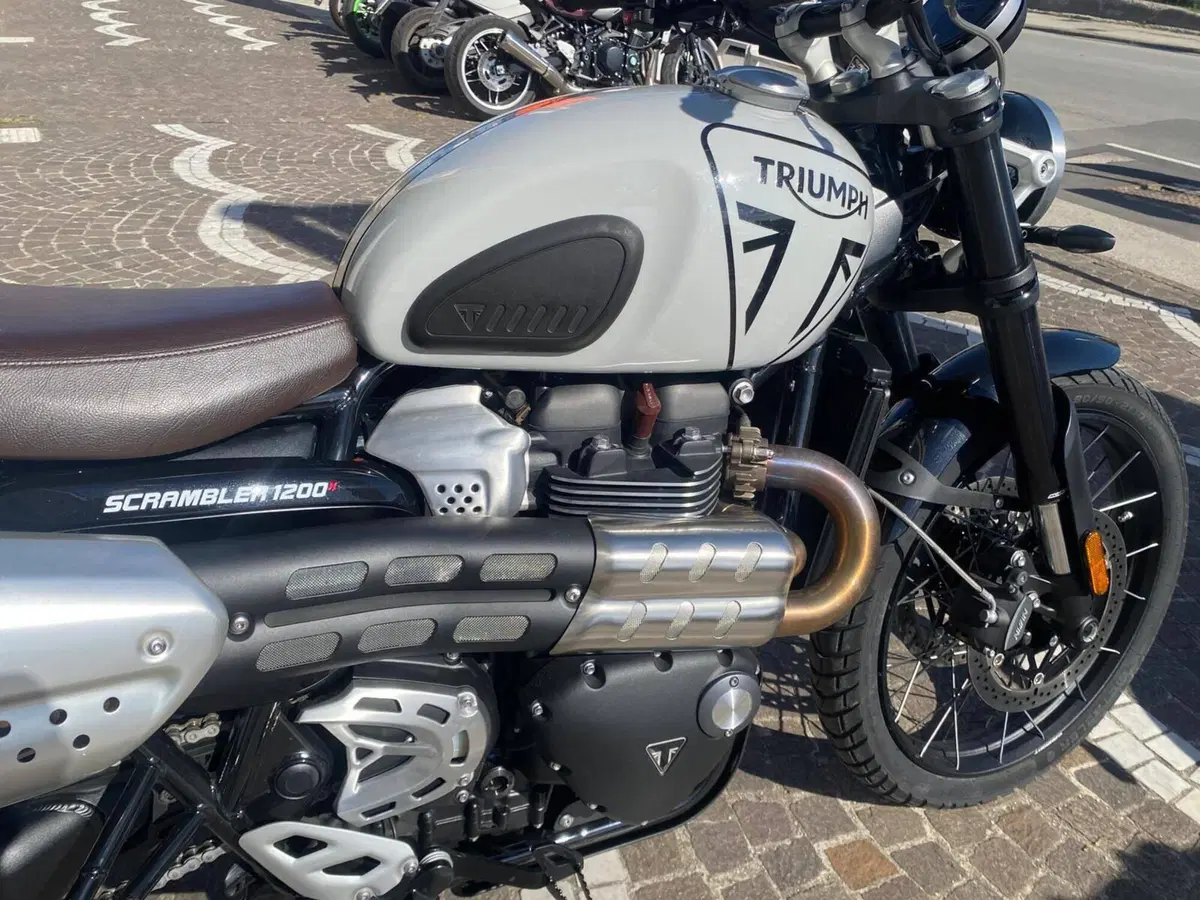 Triumph Scrambler 1200 X (2024 - 26) (5)
